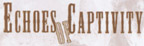 Click here to view a 3 minute movie trailer of Andersonville's "Echoes of Captivity"
